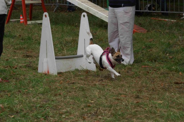 foire-haricots 2011-09-17et18